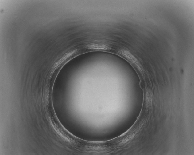 X0000083660533200702201502