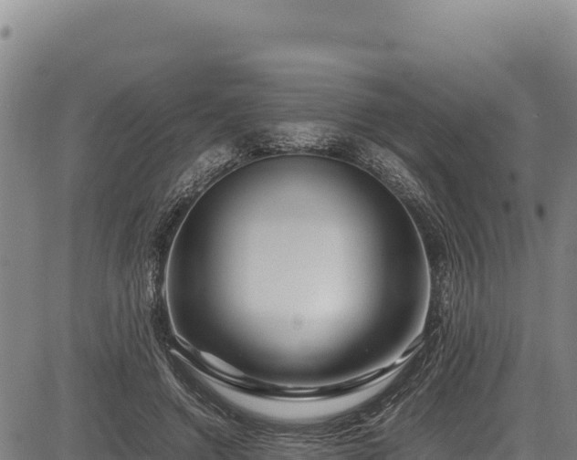 X0000083660546200702201503