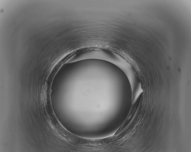 X0000083660580200702201502