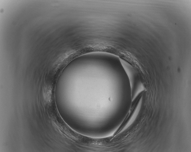 X0000083660596200702201502