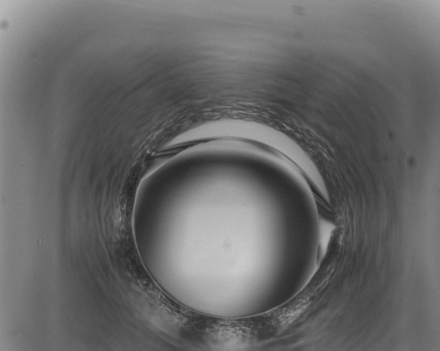 X0000083660608200702201502