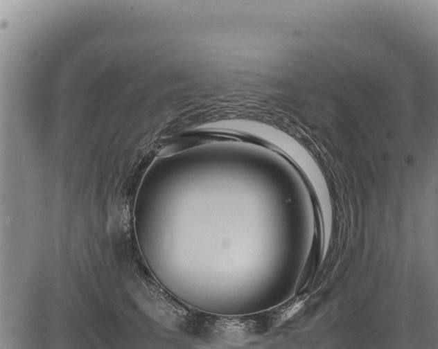X0000083660613200702201502