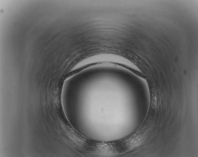 X0000083660616200702201502