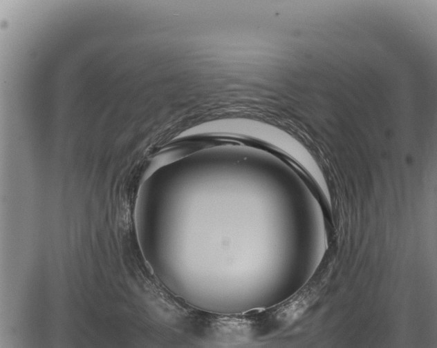 X0000083660617200702201502