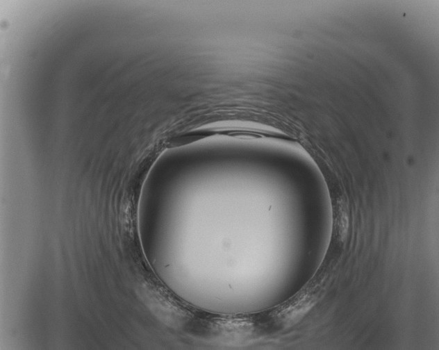 X0000083660619200702201502