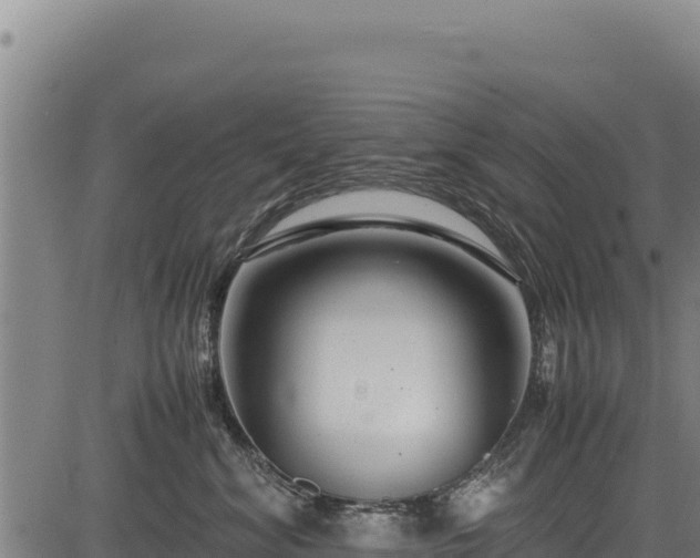 X0000083660620200702201502