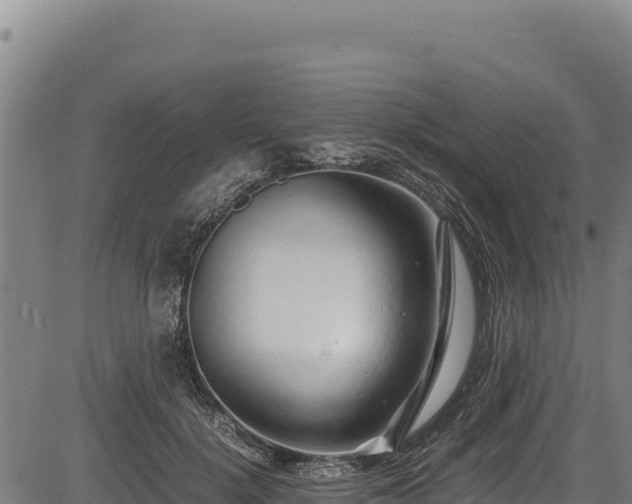 X0000083660652200702201501