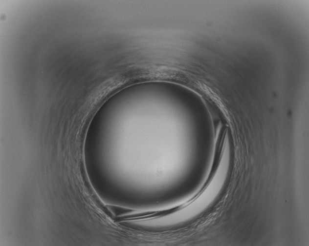 X0000083660673200702201501