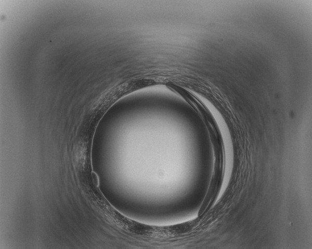 X0000083660697200702201500