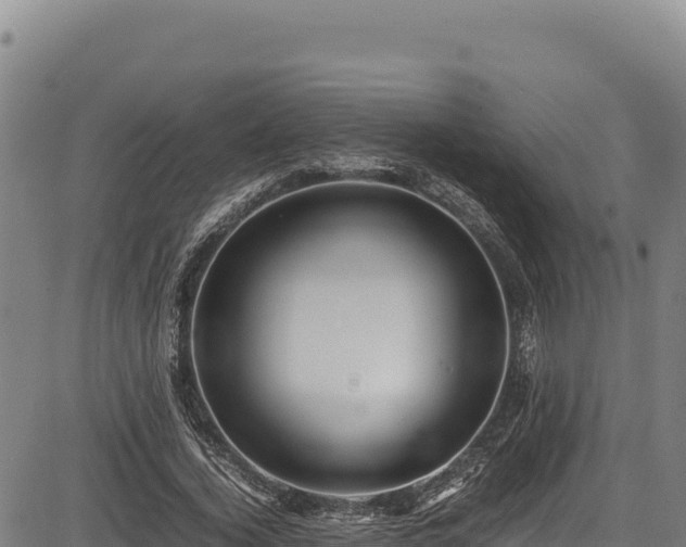 X0000083660732200702201459
