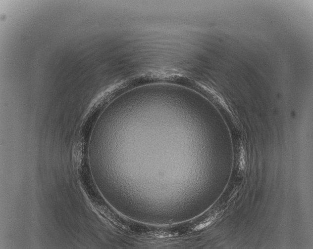 X0000083660736200702201459