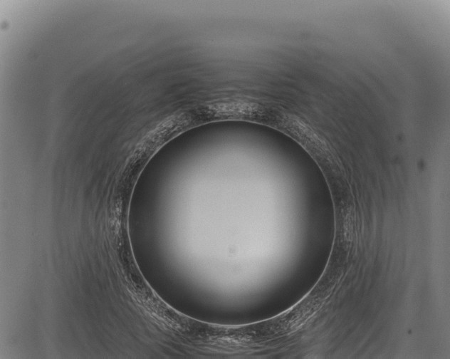 X0000083660737200702201459