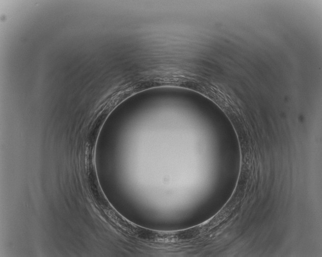 X0000083660744200702201459
