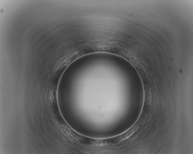 X0000083660746200702201459