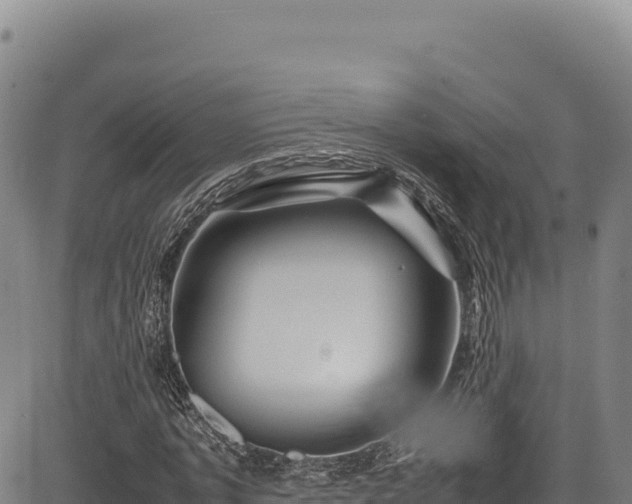 X0000083660773200702201459