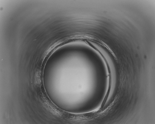 X0000083660786200702201459
