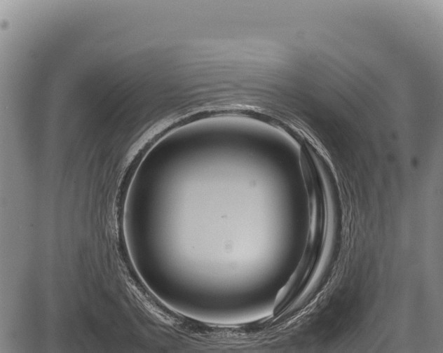 X0000083660789200702201459