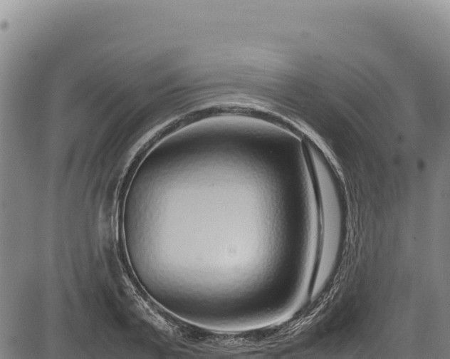 X0000083660791200702201459