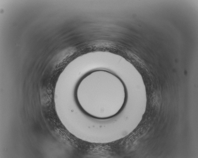 X0000083660824200702201458