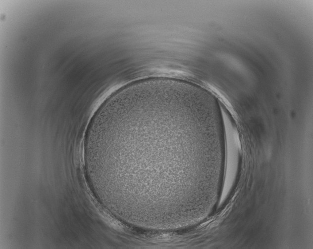 X0000083660891200702201457