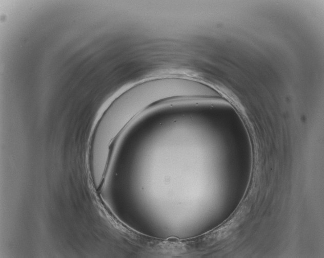 X0000083660912200702201457