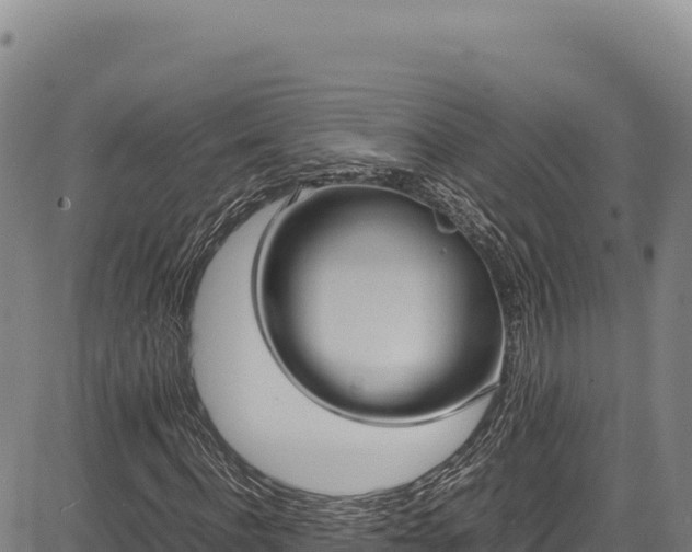 X0000083660916200702201456