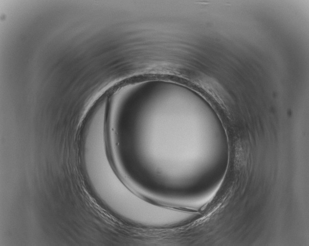 X0000083660926200702201456