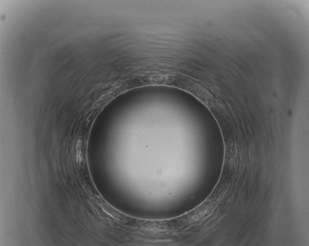 X0000083660962200702201456