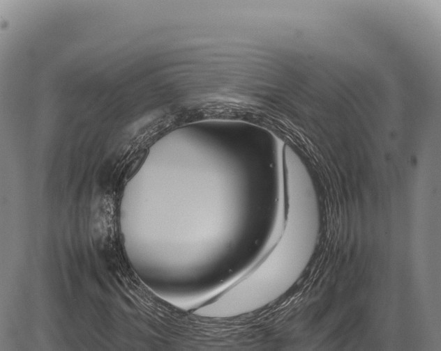 X0000083660964200702201456