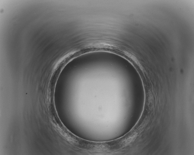 X0000083660979200702201455