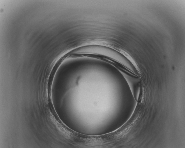 X0000083660980200702201455