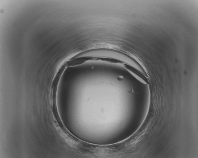 X0000083660987200702201455