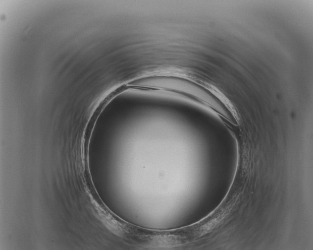 X0000083660988200702201455