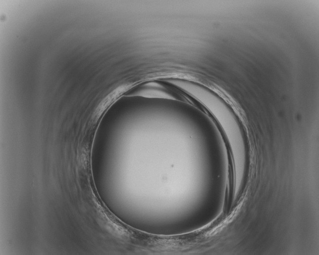 X0000083660993200702201455