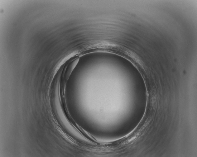 X0000083661026200702201454