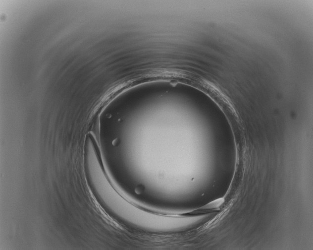 X0000083661033200702201455