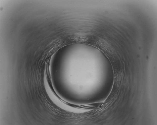 X0000083661058200702201454