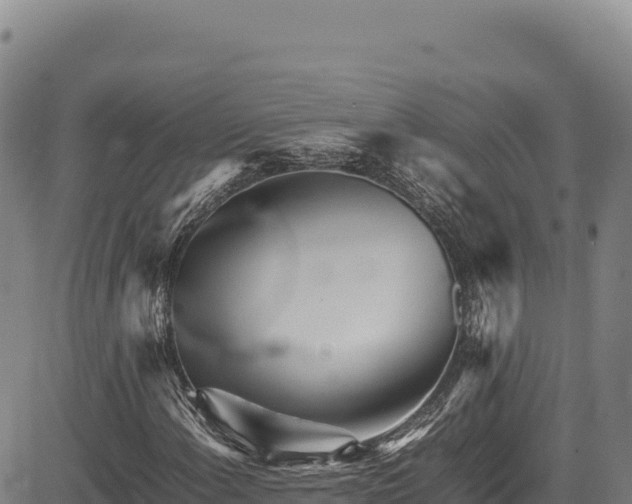 X0000083661108200702201453