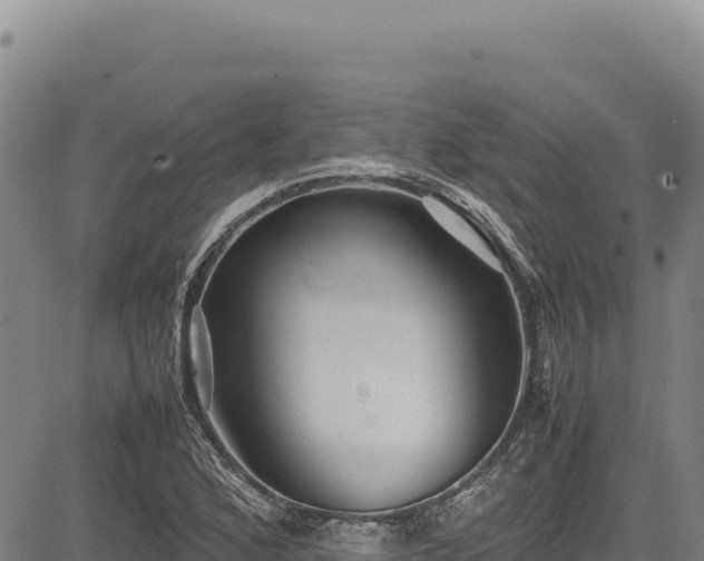 X0000083661168200702201452