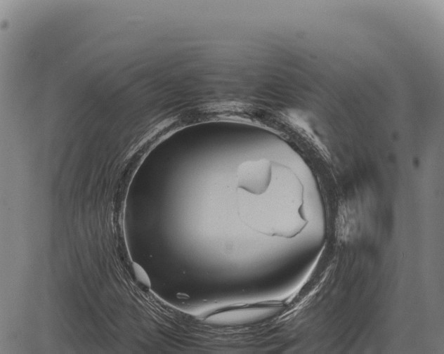 X0000083661209200702201451
