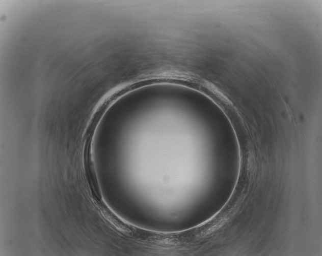 X0000083661222200702201451