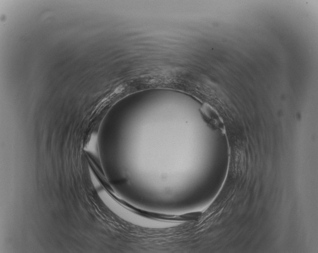 X0000083661250200702201451