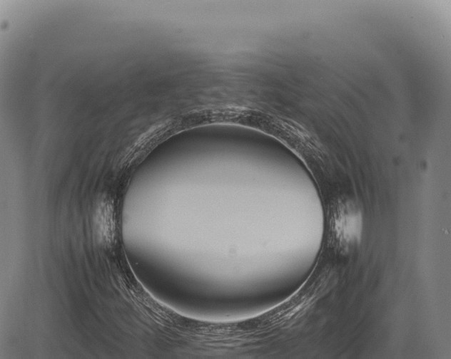 X0000083661252200702201451