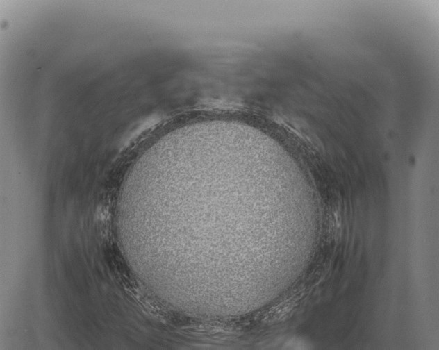 X0000083661254200702201451