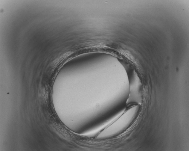X0000083661257200702201451