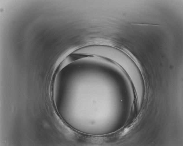 X0000083661293200702201450