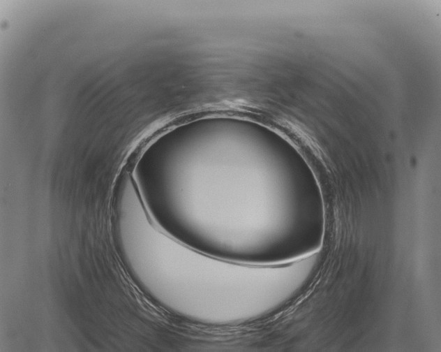 X0000083661308200702201450