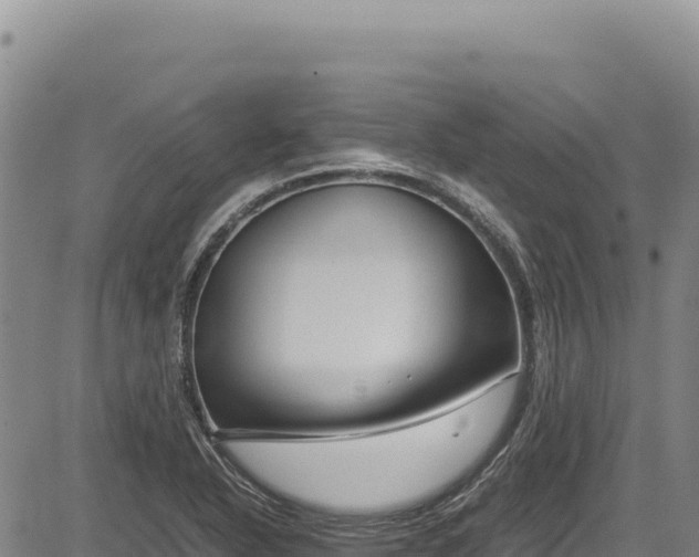 X0000083661318200702201450