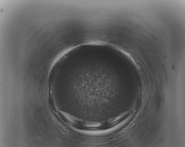X0000083661319200702201450