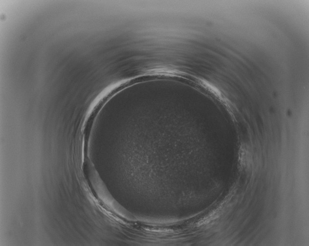 X0000083661323200702201450